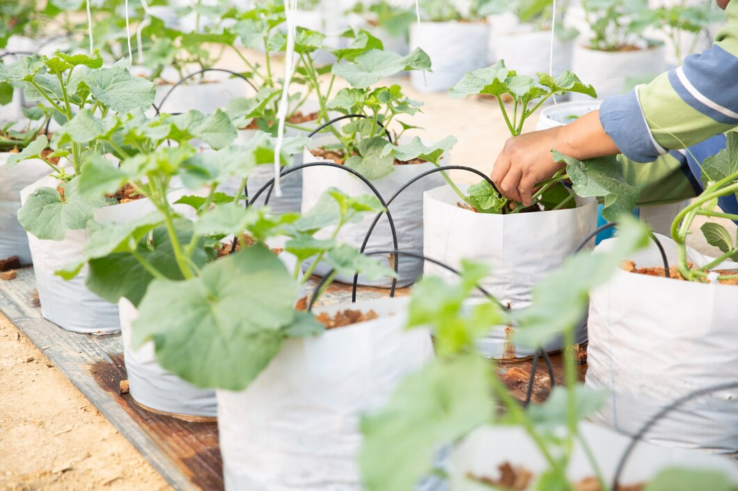 Czy warto inwestować w systemy nawadniające dla roślin?